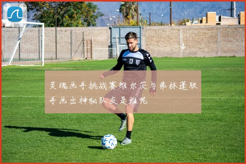 灵魂画手挑战赛维尔茨与弗林蓬联手画出神秘队友是谁呢