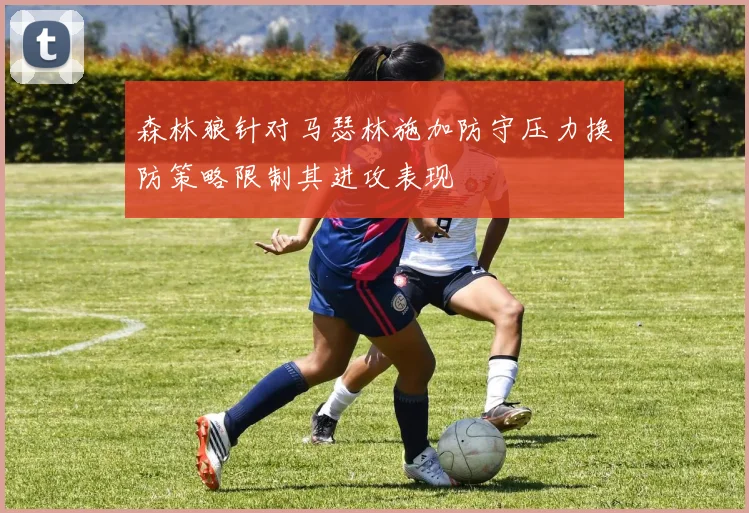森林狼针对马瑟林施加防守压力换防策略限制其进攻表现