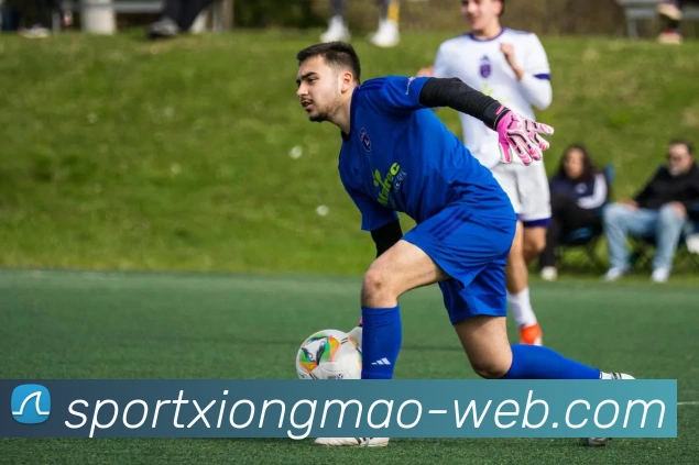 熊猫体育平台生态图